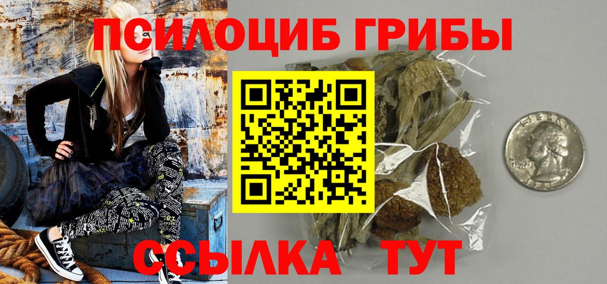 Псилоцибиновые грибы прущие грибы  Вход с VPN  Нефтекумск 