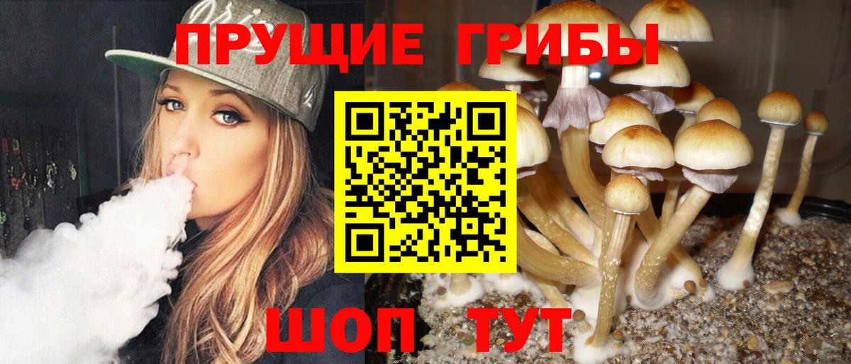 Галлюциногенные грибы GOLDEN TEACHER Нефтекумск